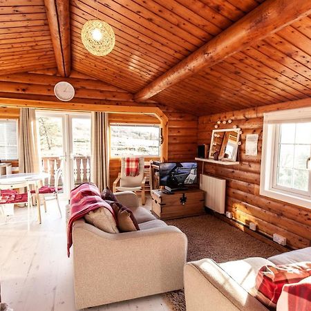 Welsh Retreat 2 Bedroom Log Cabin - Seren Property Trawsfynydd Exteriör bild