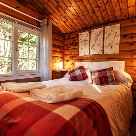 Welsh Retreat 2 Bedroom Log Cabin - Seren Property Trawsfynydd Exteriör bild