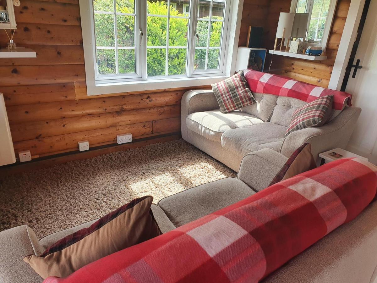 Welsh Retreat 2 Bedroom Log Cabin - Seren Property Trawsfynydd Exteriör bild