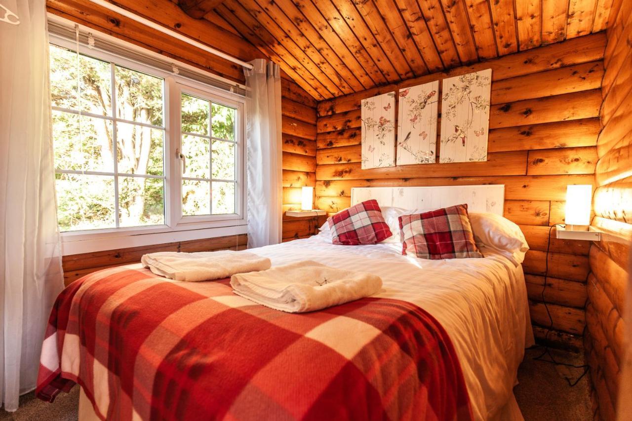 Welsh Retreat 2 Bedroom Log Cabin - Seren Property Trawsfynydd Exteriör bild
