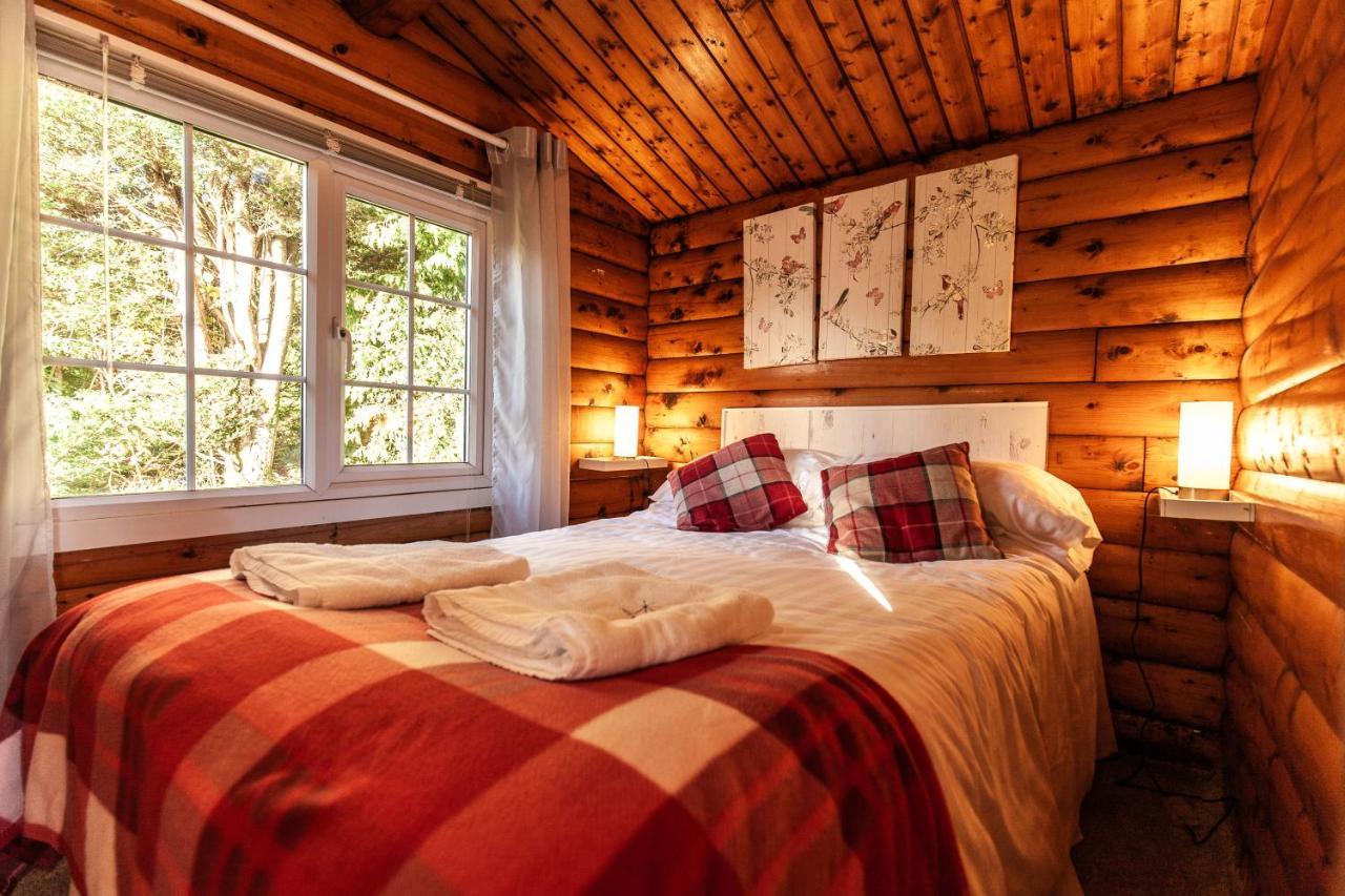 Welsh Retreat 2 Bedroom Log Cabin - Seren Property Trawsfynydd Exteriör bild