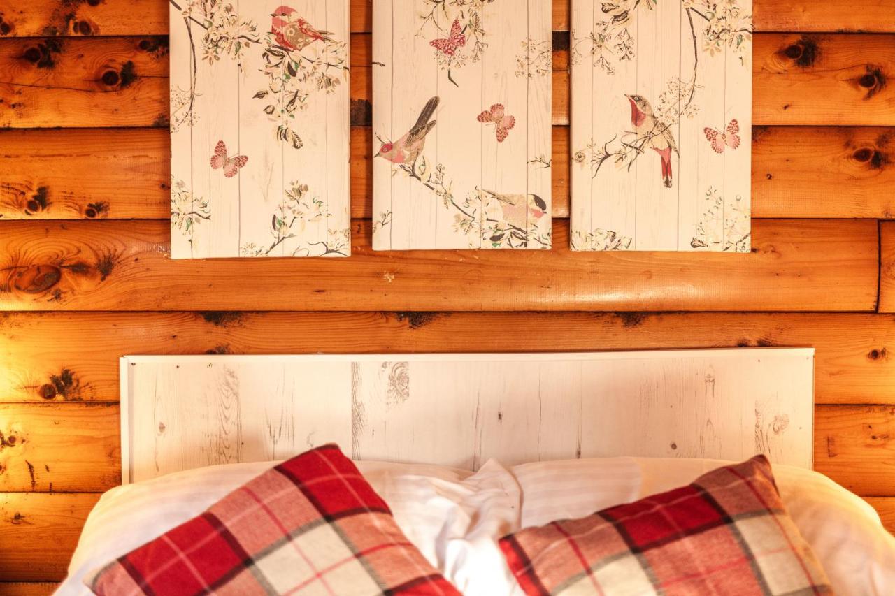 Welsh Retreat 2 Bedroom Log Cabin - Seren Property Trawsfynydd Exteriör bild