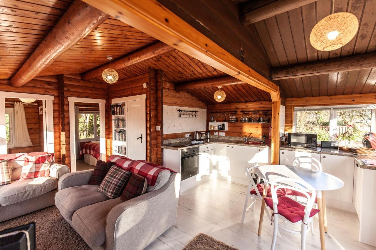 Welsh Retreat 2 Bedroom Log Cabin - Seren Property Trawsfynydd Exteriör bild