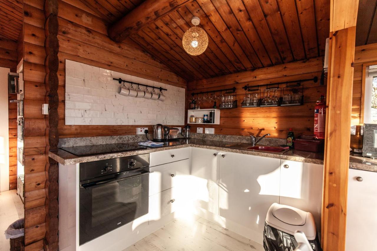 Welsh Retreat 2 Bedroom Log Cabin - Seren Property Trawsfynydd Exteriör bild