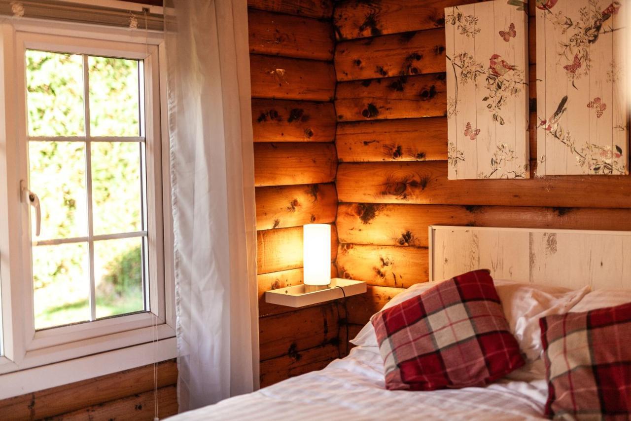 Welsh Retreat 2 Bedroom Log Cabin - Seren Property Trawsfynydd Exteriör bild