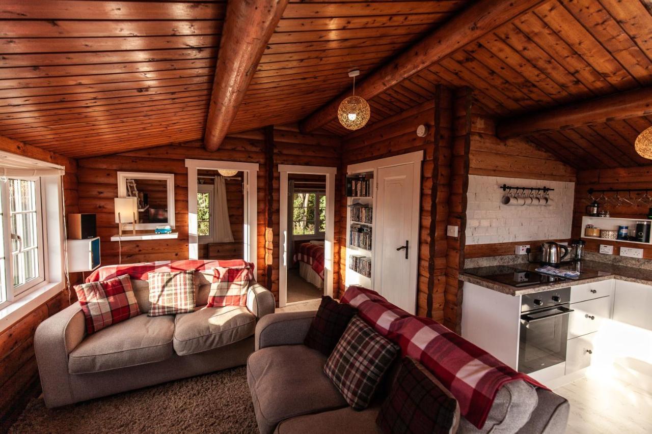 Welsh Retreat 2 Bedroom Log Cabin - Seren Property Trawsfynydd Exteriör bild